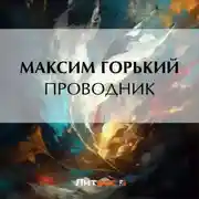 Постер книги Проводник