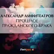 Постер книги Прошлое гражданского брака