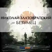 Постер книги Безумец