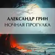 Постер книги Ночная прогулка