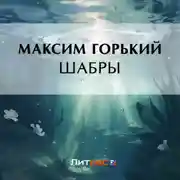 Постер книги Шабры