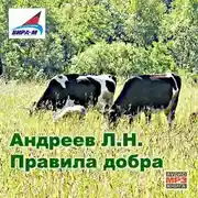 Постер книги Правила добра. Рассказы