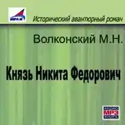 Постер книги Князь Никита Федорович