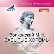 Постер книги Забытые хоромы
