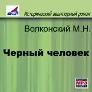 Постер книги Черный человек