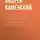 Андрей Каменский - Томас Эдисон. Его жизнь и научно-практическая деятельность