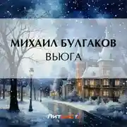 Постер книги Вьюга