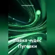 Постер книги Лавка чудес Пуговки