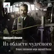 Постер книги Из области чудесного