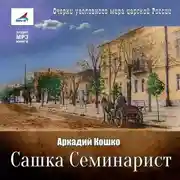 Постер книги Сашка Семинарист