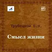 Постер книги Смысл жизни