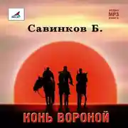 Постер книги Конь вороной