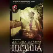 Постер книги Низина