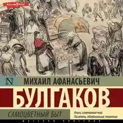 Постер книги Самоцветный быт