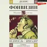 Постер книги Бригадир