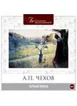 Антон Чехов - Черный монах