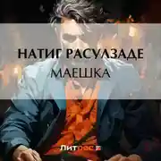 Постер книги Маешка