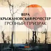 Постер книги Грозный призрак