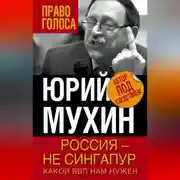 Постер книги Россия – не Сингапур. Какой ВВП нам нужен