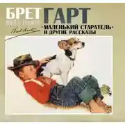 Постер книги Маленький старатель и другие рассказы