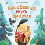 Постер книги Как к Бабе-яге внуки приехали