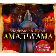 Постер книги Амальгама