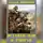 Георгий Лопатин - Вставай, иди и умирай