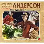 Постер книги Ну и дурак же я