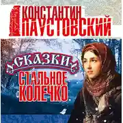 Постер книги Стальное колечко и другие сказки