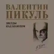 Постер книги Звезды над болотом