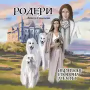 Постер книги Родери. Обратная сторона мечты