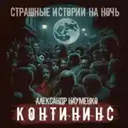 Постер книги Контининс