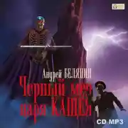 Постер книги Черный меч царя Кощея