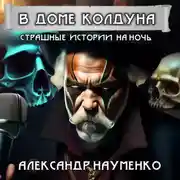 Постер книги В доме колдуна