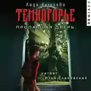 Постер книги Темногорье. Пропавшая дверь