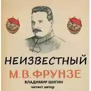 Постер книги Неизвестный М.В. Фрунзе