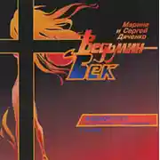 Постер книги Ведьмин век