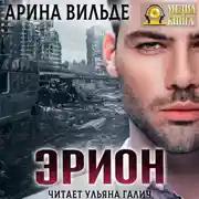 Постер книги Эрион