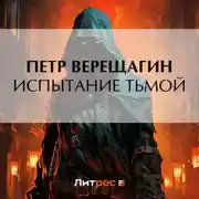 Постер книги Испытание Тьмой