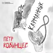 Постер книги Карманник