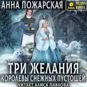 Постер книги Три желания королевы снежных пустошей