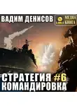 Вадим Денисов - Стратегия. Командировка