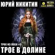 Постер книги Трое в Долине