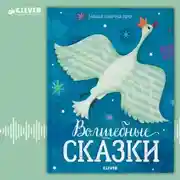 Постер книги Волшебные сказки
