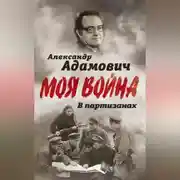 Постер книги В партизанах