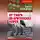 Саул Кляцкин - «От тайги до британских морей…»: Почему Красная Армия победила в Гражданской войне