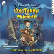 Постер книги Охотники за мифами. Шкатулка из Замка теней