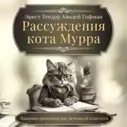 Постер книги Рассуждения кота Мурра