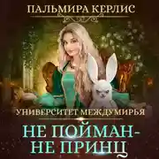 Постер книги Университет Междумирья. Не пойман – не принц
