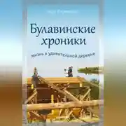 Постер книги Булавинские хроники. Жизнь в удивительной деревне